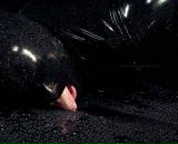 Така Єдина фотография #39 (источник - https://vk.com/id16903552)