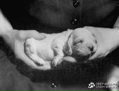 Фотография Титаренко Антонины