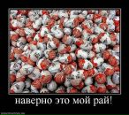 Фотография Гурьевой Катерины