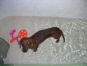 Дан Гор фотография #17 (источник - https://vk.com/id2411368)