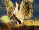 Фотография Алихановой Ирины