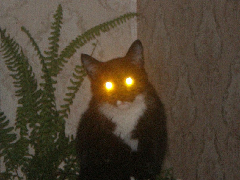 Виктор Козин фотография #9