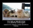 Міша Вознюк фотография #30 (источник - https://vk.com/id34819083)