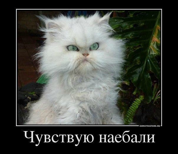 №6, Константин Белоусов, Санкт-Петербург, Россия №6, Константин Белоусов, Санкт-Петербург, Россия