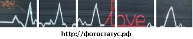 Діма Нiкiтiн фотография #23 (источник - https://vk.com/id80070430)