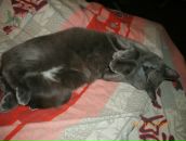 Фотография Зубовой Олечки