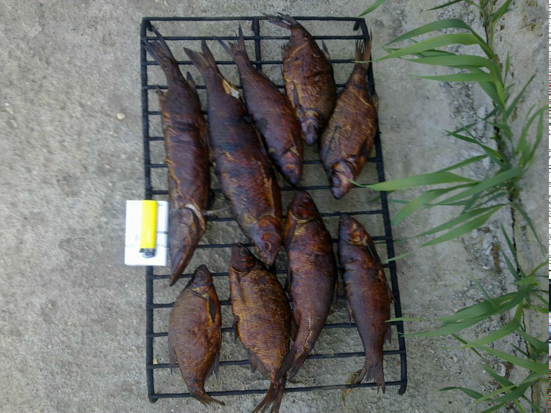 Дмитрий Дмитриев фотография #46