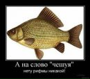 Саша Іванущик фотография #6 (источник - https://vk.com/id133212557)
