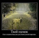 Зинаида Лис фотография #44 (источник - https://vk.com/id809099)