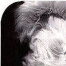 Юля Цідило фотография #19 (источник - https://vk.com/id135788843)