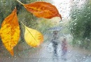 Фотография Павел Комендантов