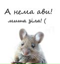 Вікуся Косминка фотография #49 (источник - https://vk.com/id199034258)
