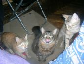 Фотография Туровой Анны