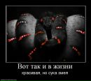 Танічка Малюк фотография #20 (источник - https://vk.com/id132361394)