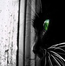 Фотография Григорьевич Яков