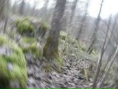 Фотография Мизиряк Надежды