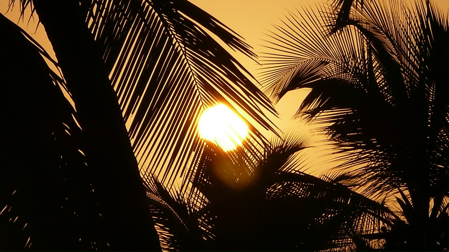 Maxim An фотография #6