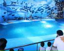 Микола Дмитрів фотография #26 (источник - https://vk.com/id141808455)
