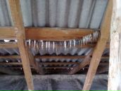 Руслан Степанюк фотография #22 (источник - https://vk.com/id80147663)