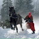 Фотография Вадимовны Татьяны