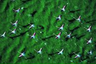 Фотография Сороки Натальи