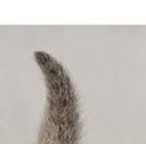 Андріана Шведа фотография #47 (источник - https://vk.com/id138941313)