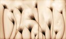 Алінка Малінка фотография #27 (источник - https://vk.com/id166753493)