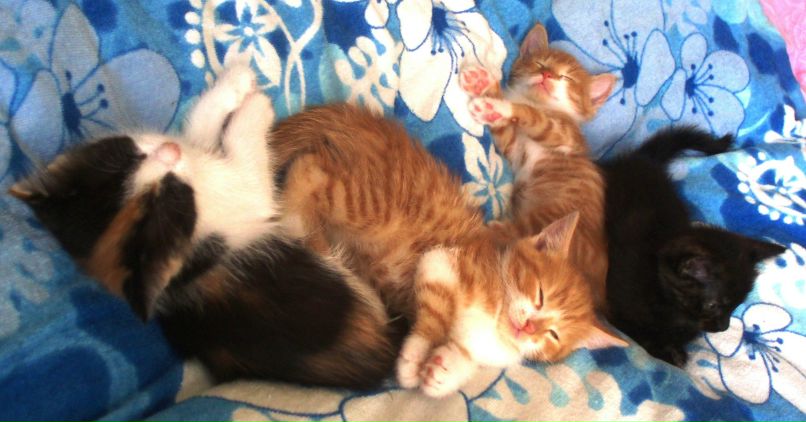 Еля Матвийчук фотография #14