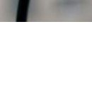 Настусік Радзік фотография #48 (источник - https://vk.com/id120908089)