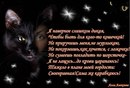Ірина Єфтодій фотография #2 (источник - https://vk.com/id122831516)