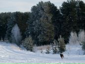 Фотография Шевелевич Марии