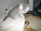 Фотография Важенцевой Валентины