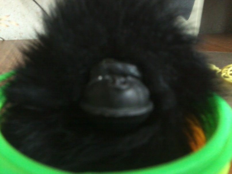 Дима Фалалеев фотография #29