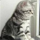 Фотография Лебедевой Марии