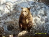 Фотография Ильиной Антонины