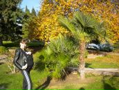 Фотография Белоусовой Екатерины