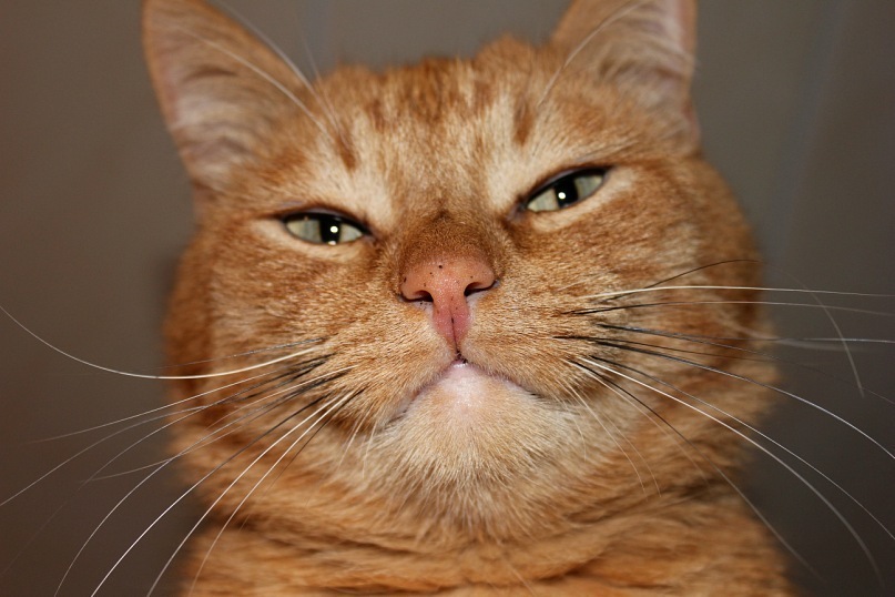 Dimoha Кравчук фотография #8