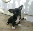 Фотография Игнатьевой Жанны