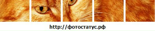 Оля Костенко фотография #29 (источник - https://vk.com/id33186446)