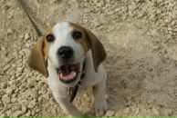 Фотография Минаева Романа