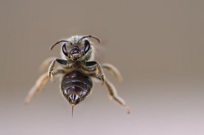 Фарид Гайсин фотография #40