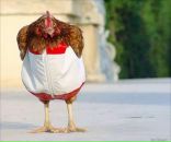 Фотография Патраковой Марии