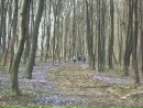 Віточка Чайчук фотография #16 (источник - https://vk.com/id166870077)