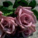 Маріка Мороз фотография #31 (источник - https://vk.com/id161988119)