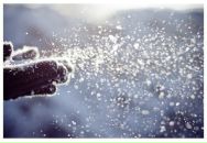 Фотография Федяшовой Ирины