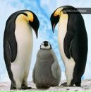 Юрій Яворський фотография #43 (источник - https://vk.com/id355663791)