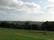 Ромул Рем фотография #11 (источник - https://vk.com/id4353335)