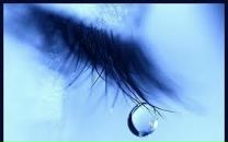 Ольга Єсавочкіна фотография #43 (источник - https://vk.com/id19381788)