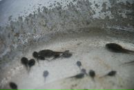 Илья Ткаленко фотография #38 (источник - https://vk.com/id1700512)