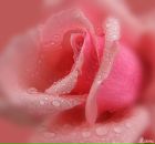 Фотография Жуковой Натальи